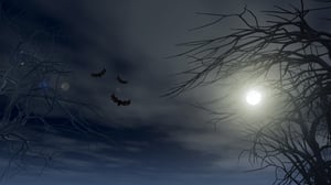 halloween-background-with-spooky-trees-against-moonlit-sky